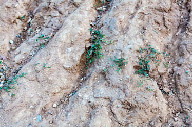 Similar image 16054207