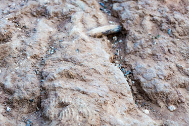 Similar image 16112021