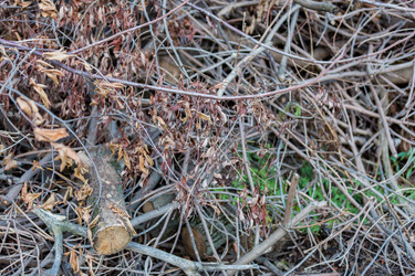 Similar image 16113029