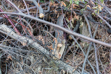 Similar image 16113343