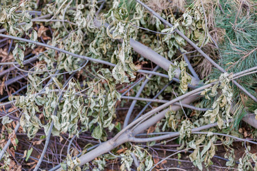 Similar image 16221577