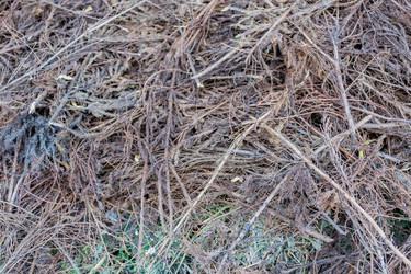 Similar image 16221937