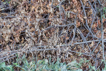 Similar image 16221939