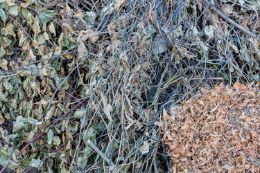 Similar image 16221960