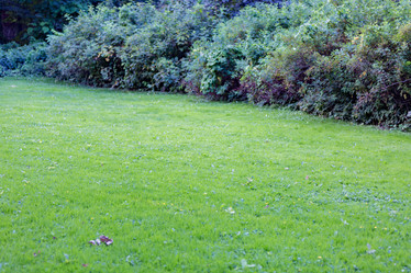 Similar image 16221962