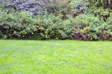 Similar image 16221964