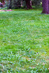 Similar image 16221969