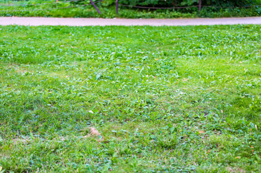 Similar image 16221973