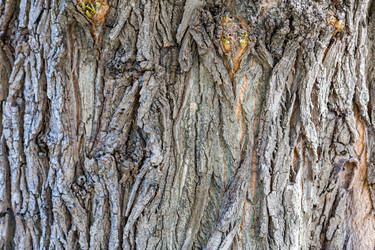 Similar image 16221991