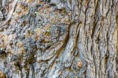 Similar image 16111502