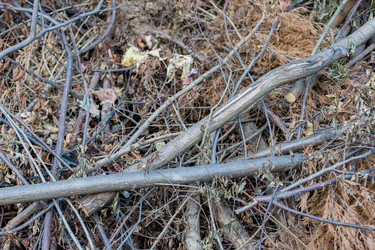 Similar image 16111659