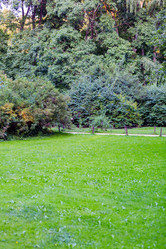 Similar image 16111833