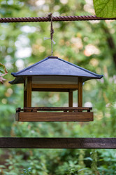 Similar image 16111899