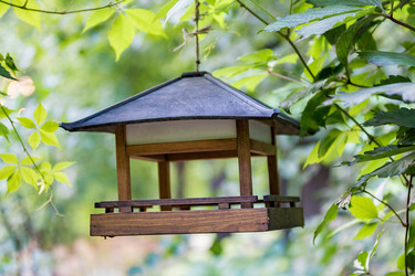 Similar image 16111952