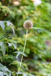 Similar image 16221942