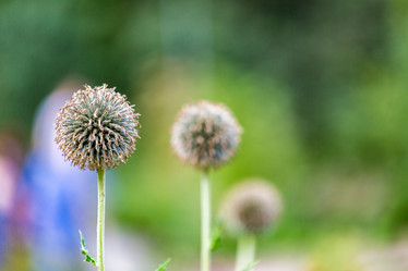 Similar image 16221943