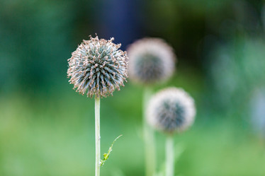 Similar image 16221944