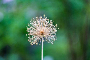 Similar image 16221946