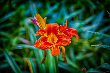 Similar image 16221949