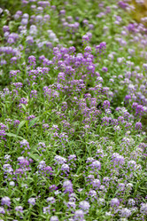 Similar image 16221950