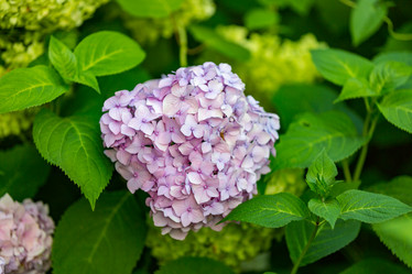 Similar image 16221951