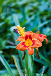 Similar image 16221952