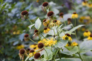 Similar image 16222941