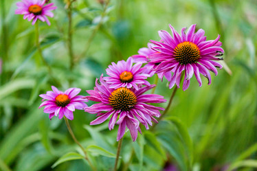 Similar image 16222942