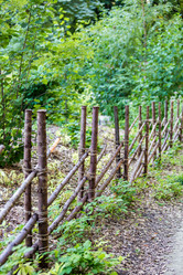 Similar image 16222944