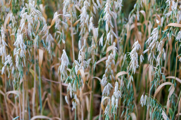 Similar image 16222945