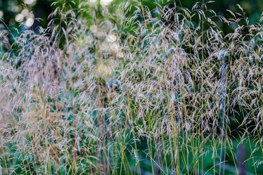 Similar image 16222947