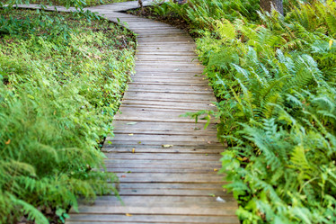 Similar image 16222948