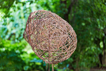 Similar image 16222949