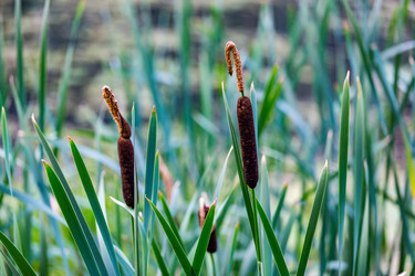 Similar image 16222950