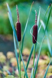 Similar image 16222951