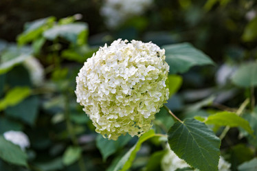 Similar image 16222963