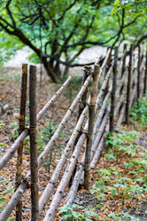 Similar image 16222965