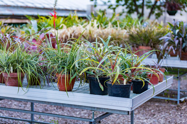 Similar image 16221954