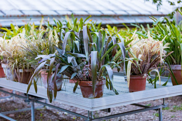 Similar image 16221955