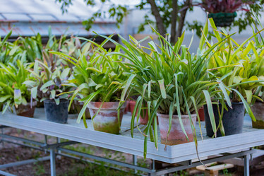 Similar image 16221956