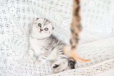 Similar image 15926927