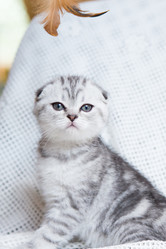 Similar image 15926928