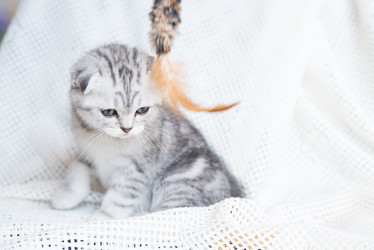 Similar image 15926929