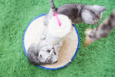 Similar image 15926930