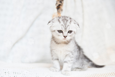 Similar image 15926962