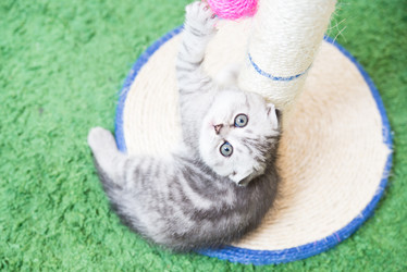 Similar image 15926971