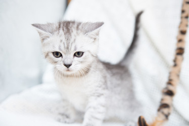 Similar image 15926974