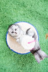 Similar image 15926979