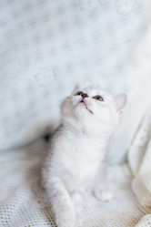 Similar image 15926938