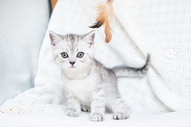 Similar image 15926940